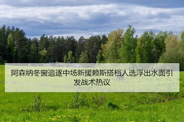 阿森纳冬窗追逐中场新援赖斯搭档人选浮出水面引发战术热议